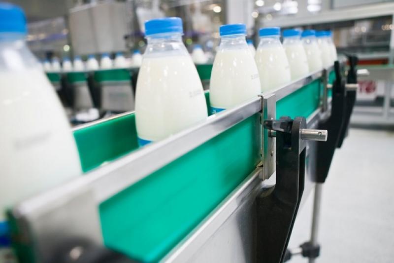 Обсяг світового виробництва молока у цьому році зросте до 826 млн т