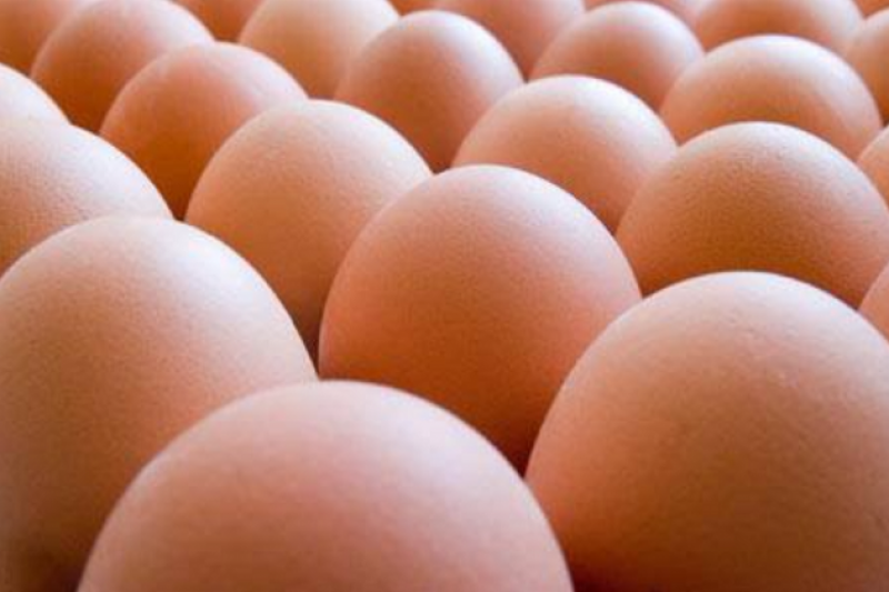 АМКУ перевірить цінову ситуацію на ринку яєць