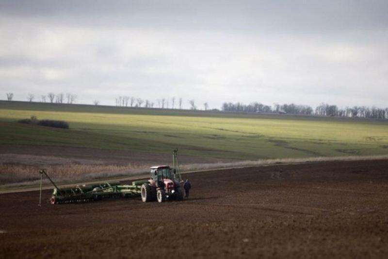 В Україні озимі на зерно посіяні на 92% від запланованого обсягу 
