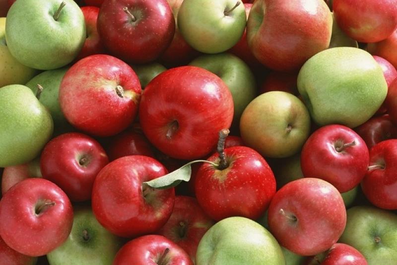 Ціна на яблука підвищиться