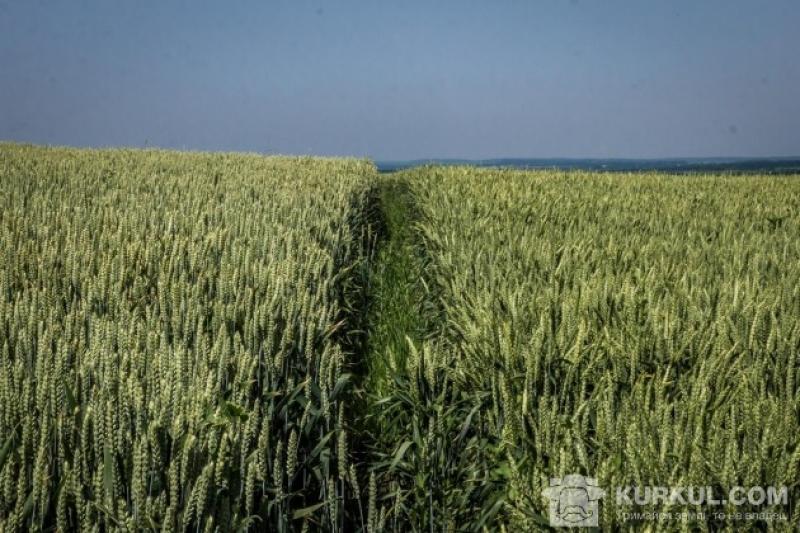 Від третього етапу операції «Урожай» надійшло більше 100 млн грн у бюджети області