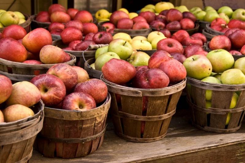 На ринку велика пропозиція українських яблук та загроза експансії з боку Польщі