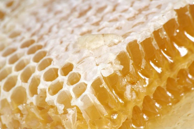 Експорт вітчизняного меду зріс