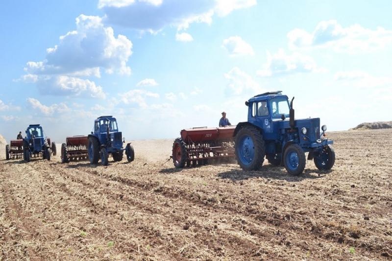 Розвиток українського виробництва насіння гальмується реформуванням галузі