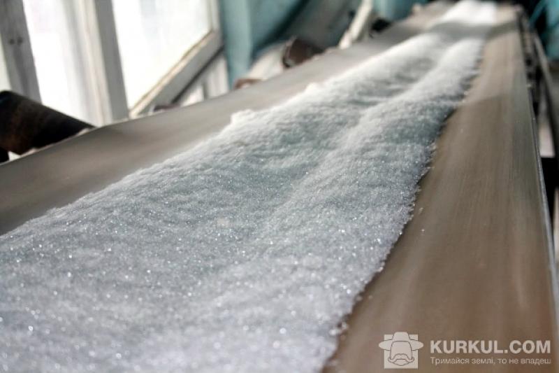 Цього року у Волинській області було виготовлено цукру більше в 1,4 рази, ніж минулого 