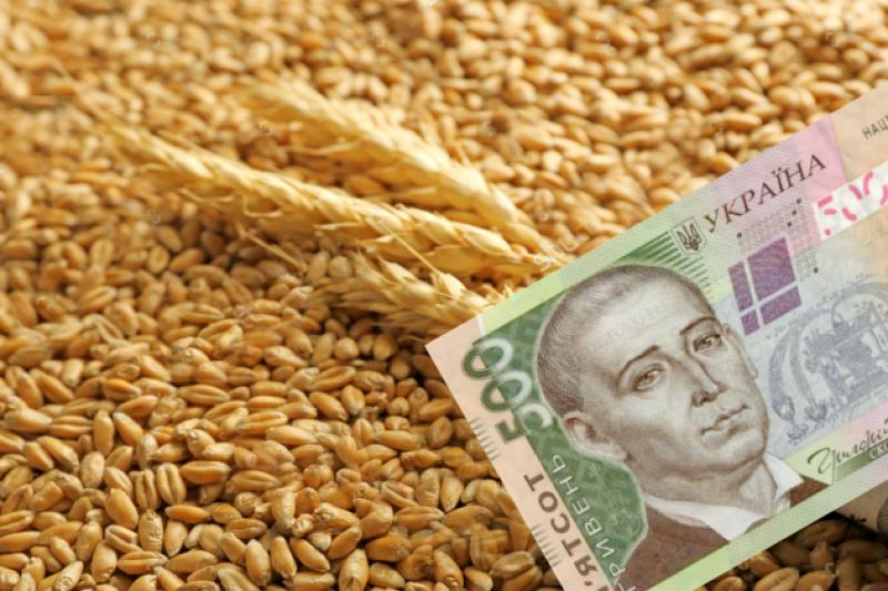 Чинником зросту цін на зернові культури стали валютні коливання