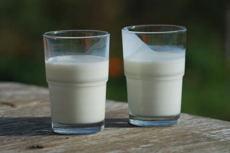 Для виробників молока прогнози невтішні