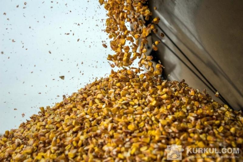 Оцінка валового збору кукурудзи в 2016/17 МР підвищена до 26,1 млн т