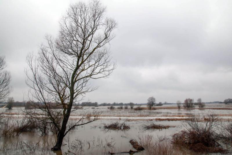 У західних областях України очікується різкий підйом рівня води 