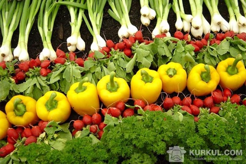 Україна стала важливим постачальником органічних продуктів на західноєвропейський
ринок