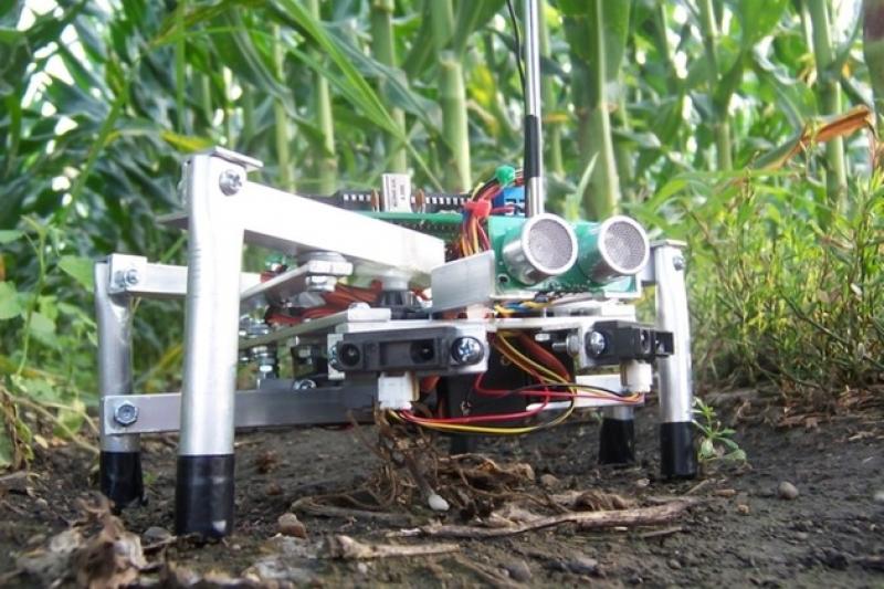 Роботи - майбутнє сільського господарства