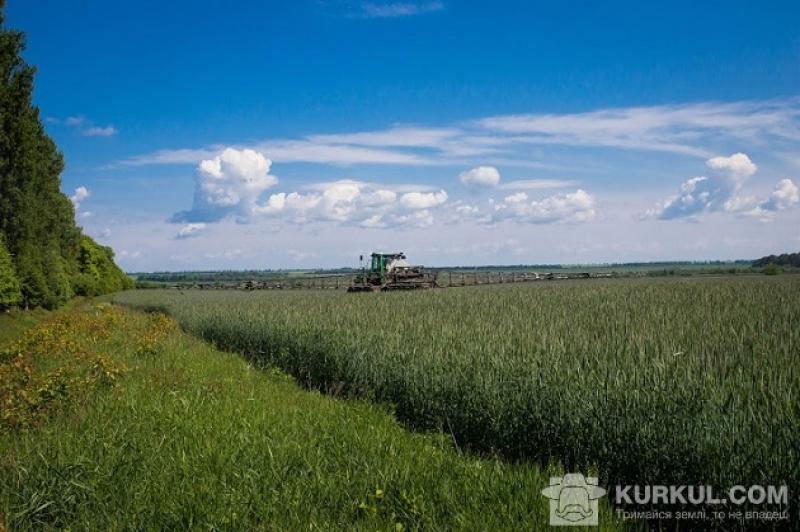 Значні площі земель в Україні «зависли в повітрі»: серед таких земель опинились і лісосмуги