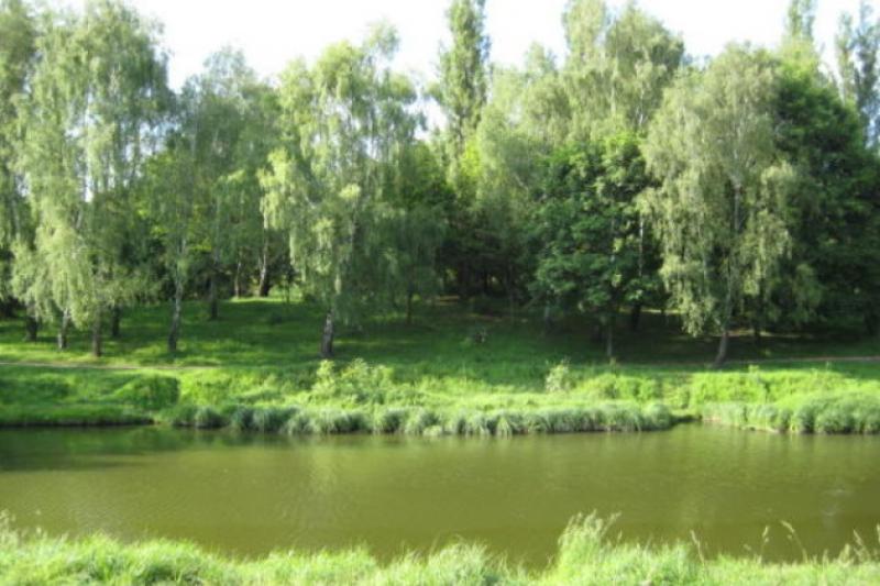Бізнесмени Луцька очистили парк імені 900-річчя Луцька