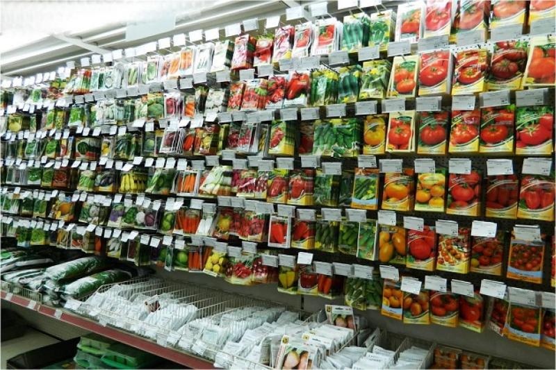 Держпродспоживслужба Луганщини вживає заходи із запобігання правопорушень під час торгівлі насінням овочевих та баштанних культур