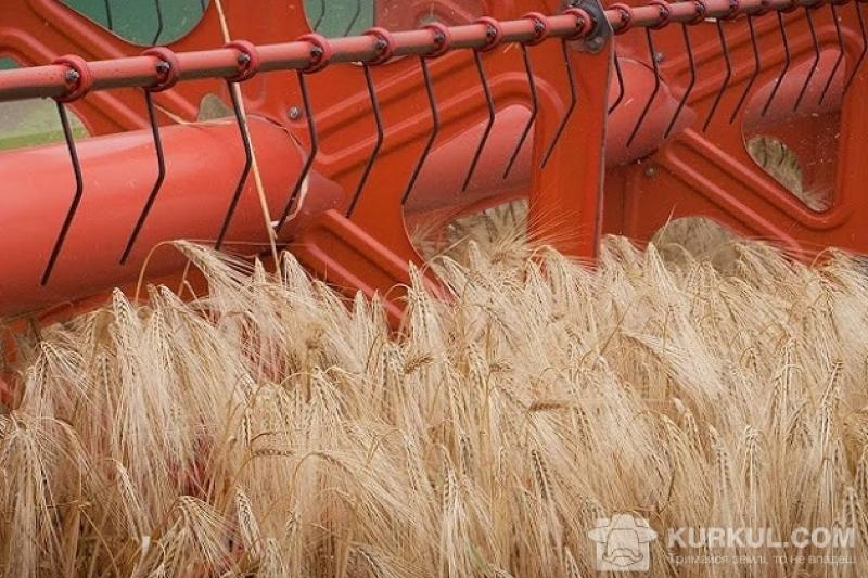 Українські аграрії зберуть не менше 24 млн т пшениці цьогоріч