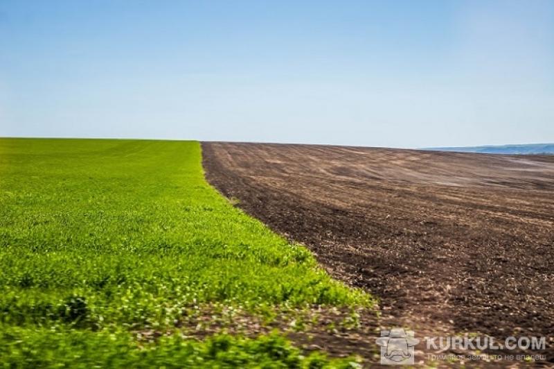 Фермер має повернути в державну власність 873 га землі вартістю понад 30 млн грн