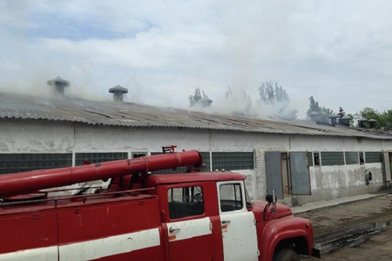 Донецька область: рятувальники ліквідували пожежу на території тваринного комплексу