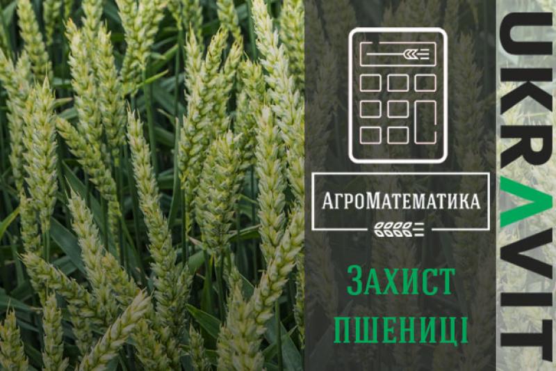 Kurkul.com разом із експертами компанії UKRAVIT розглядатиме актуальні питання захисту рослин