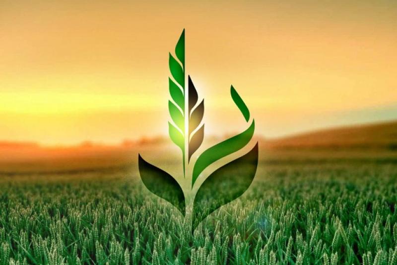 Логотип ПАТ «Аграрний фонд» 