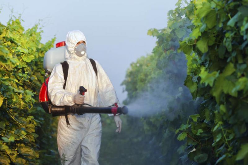 Аграрії не використовують інновації через заборону незареєстрованих пестицидів — Кулініч