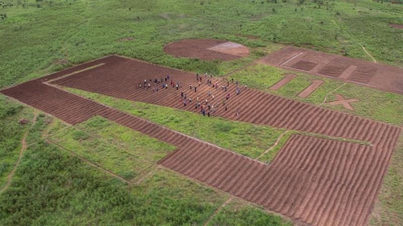 «Польовий звіт» африканських фермерів