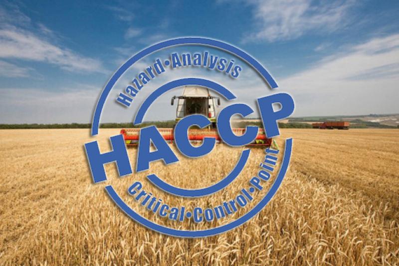 Логотип HACCP 