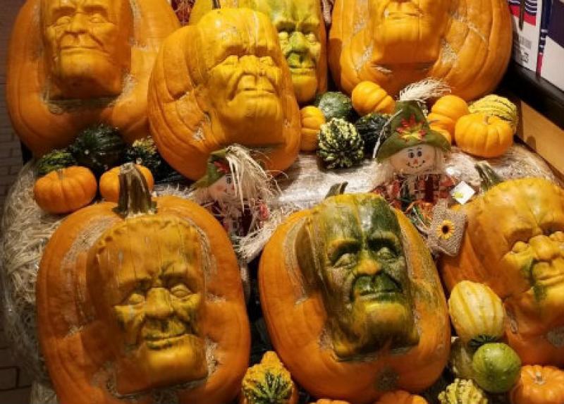Pumpkinstein — гарбузи-Франкенштейни , вирощені спеціально до свята Хелловін