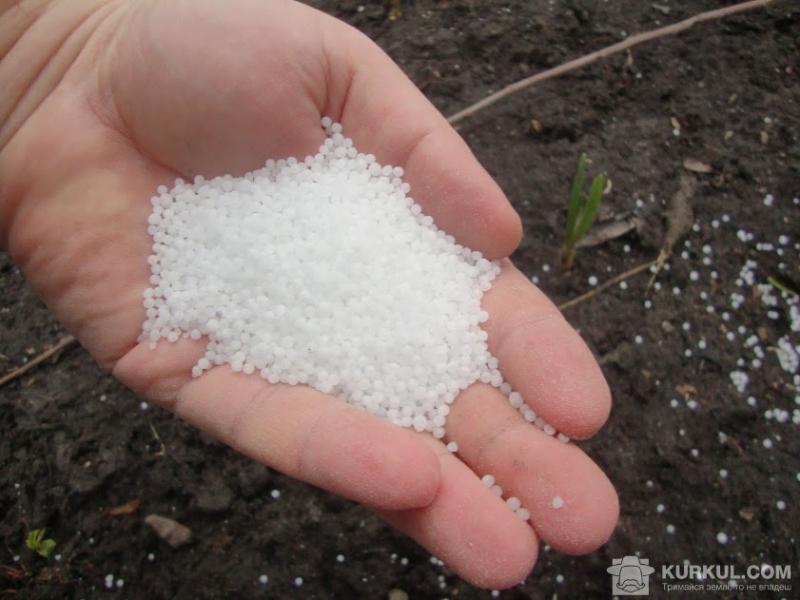 Аграрії Сумщини потребують 60 тис. т мінеральних добрив