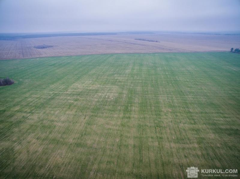 На Кіровоградщині фермер незаконно використовував 37 га державних земель