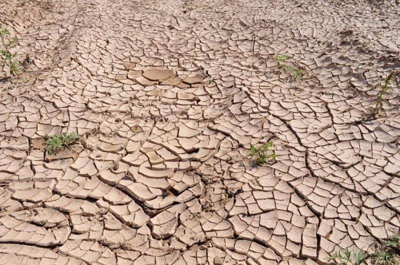 Засуха в Іспанії призвела до рекордного за 20 років скорочення водних запасів