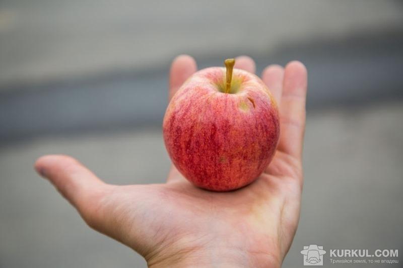 В Ізраїлі придумали «суперпродукт» із зіпсованих яблук
