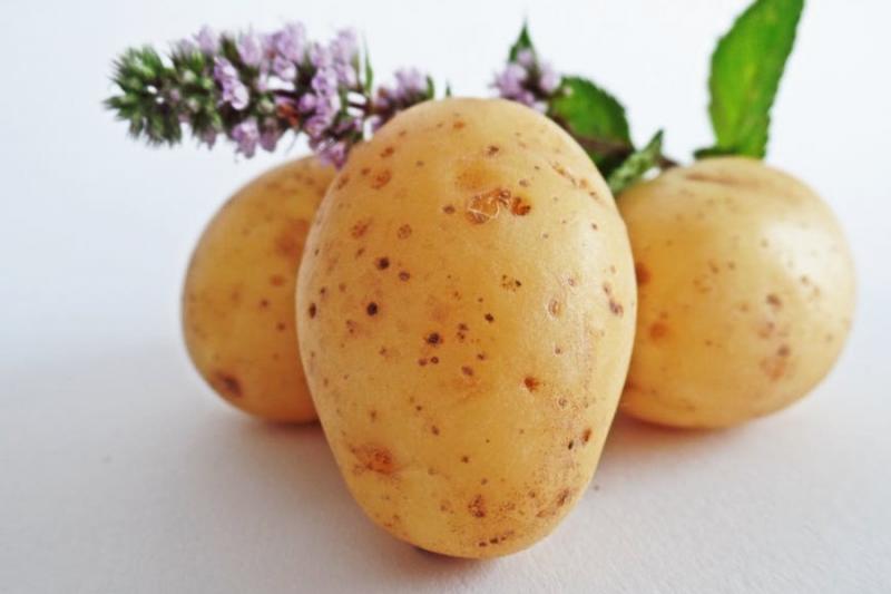 За рік Україна збільшила експорт картоплі у 3,5 рази