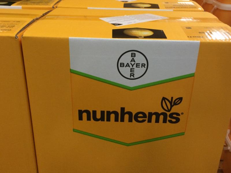 Bayer веде перемовини з BASF про продаж Nunhems