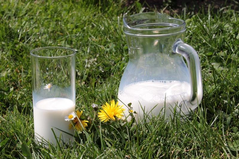 На Херсонщині закликають ввести державне регулювання вартості молока