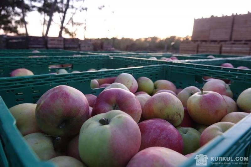 Фермери будуть виробляти сік із заморожених яблук