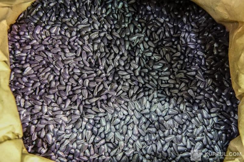Через конфлікт Оцабрика з Тігіпком фермер може втратити насіння і добрива на 10 млн