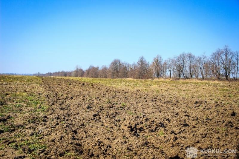 Фермер з Київщини незаконно заволодів 70 га землі 