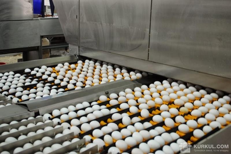 З усіє продукції тваринництва у 2018 р. зросло лише виробництво яєць