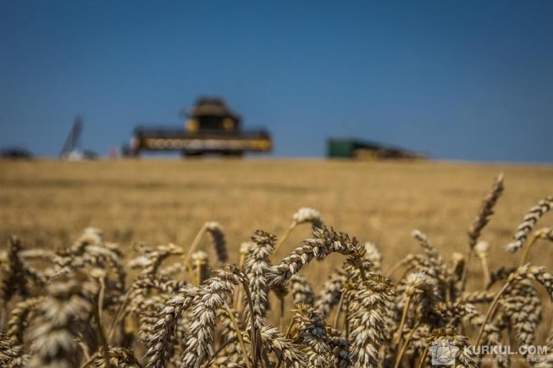 Зрошування може підвищити урожайність зернових на 8 млн т