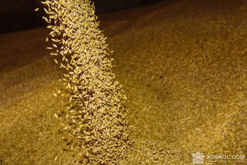 У сезоні 2017/18 буде рекордний запас зернових