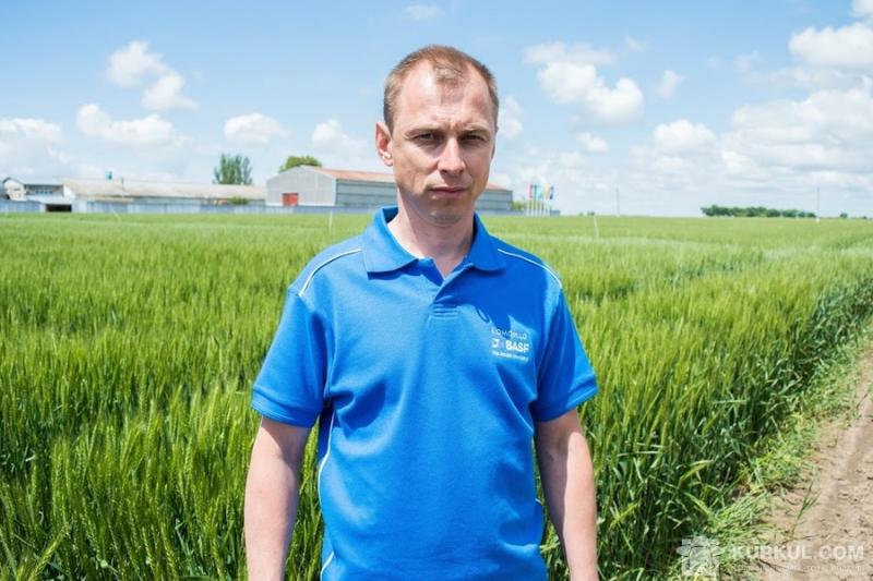 Павло Материнський, менеджер з розвитку продуктів на колосових зернових компанії BASF