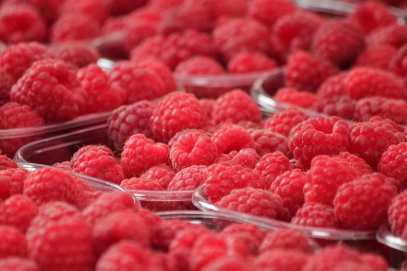 Експерт назвав Топ-10 перспективних напрямків експорту української ягоди