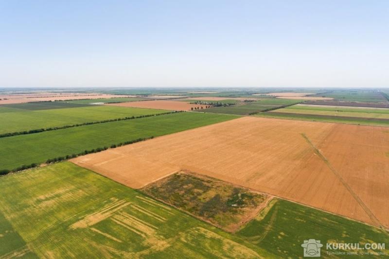 Українські селяни втрачають щороку 86 млрд грн через відсутність закону про ринок земель
