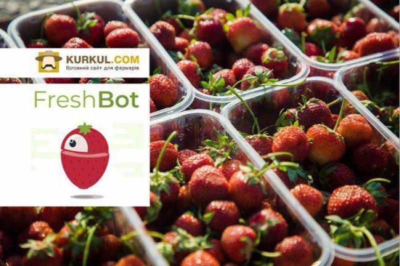 FreshBot і Kurkul.com: огляд цін на ягоди