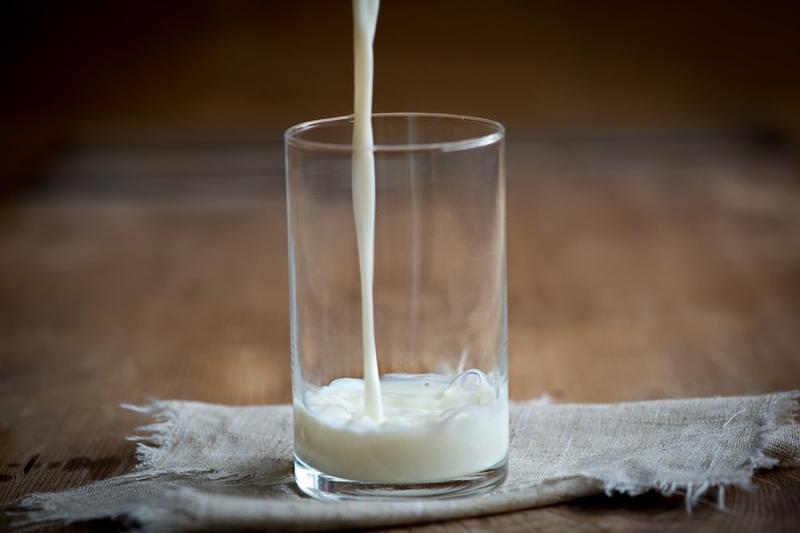 Прибутковість виробництва молока падає шостий місяць поспіль