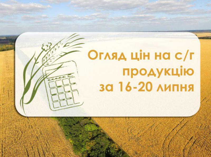 Огляд цін на сільгосппродукцію за тиждень з 16 по 20 липня