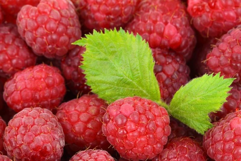 Ціни на малину нестабільні — огляд цін на ягоди