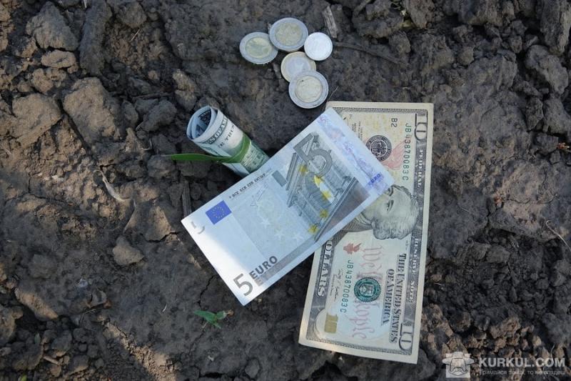 Німецький фермер на своїй землі «відкопав» €773 тисячі