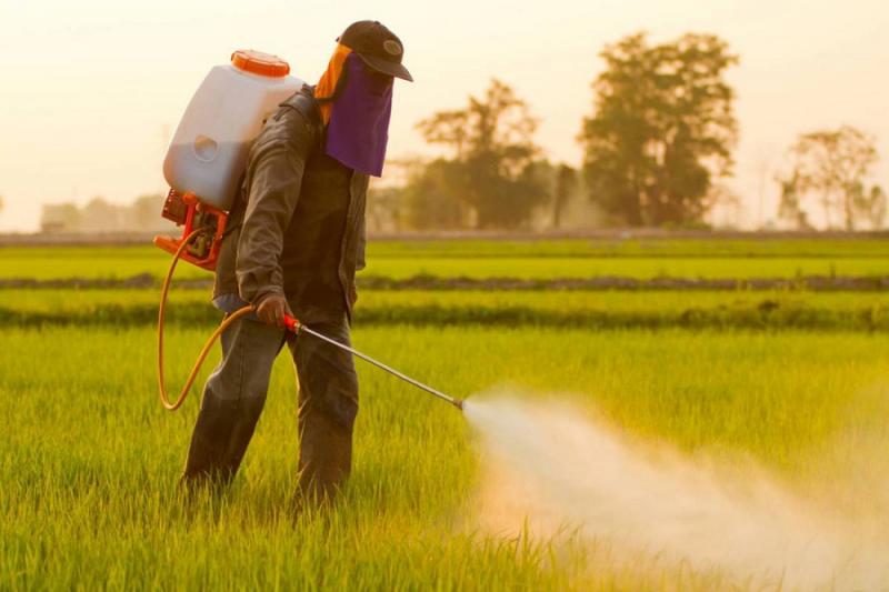 Обробка посівів пестицидами