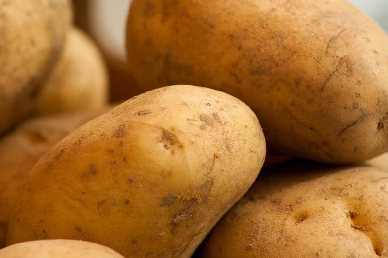 Україна утричі збільшила експорт картоплі